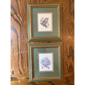 Vintage Ray Harm Owl Prints In Ornate Gold & Green Frames Set Of 2 10" x 9" Beau